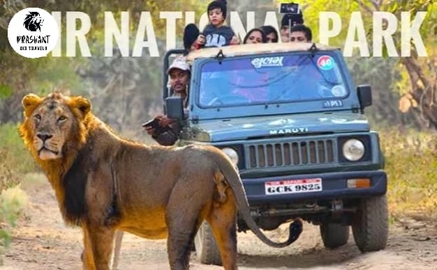 Prashant Gir Tour & Travel's