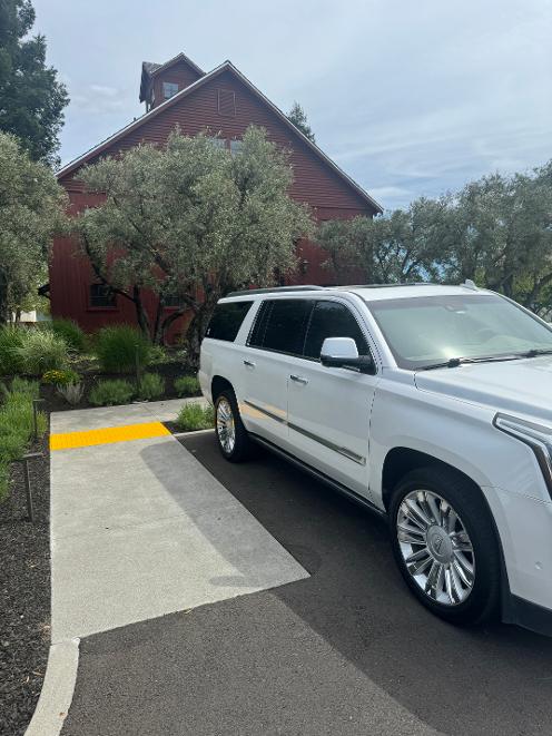 PLT LIMOS