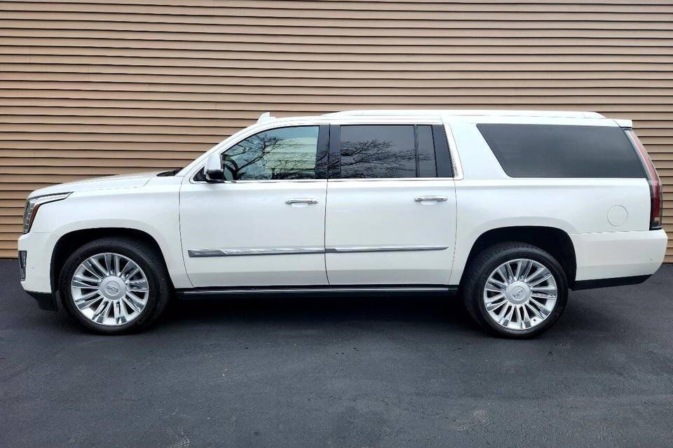 PLT LIMOS