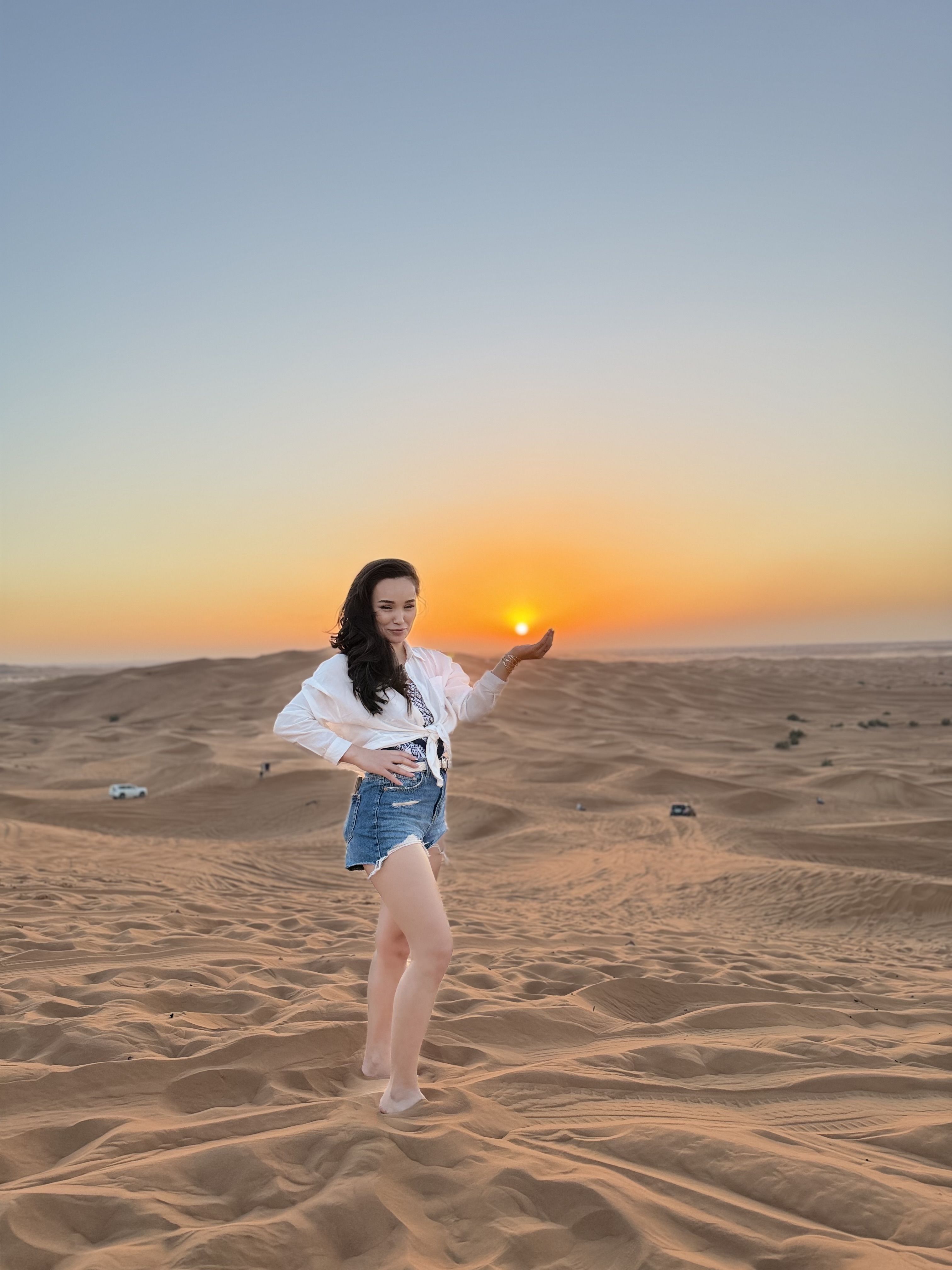 Desert travel vibe tourism LLC