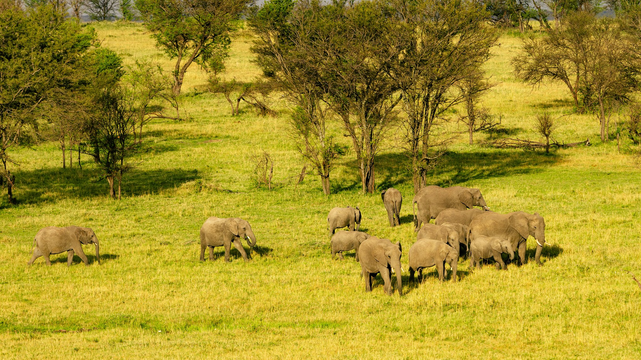 Inspirations Africa