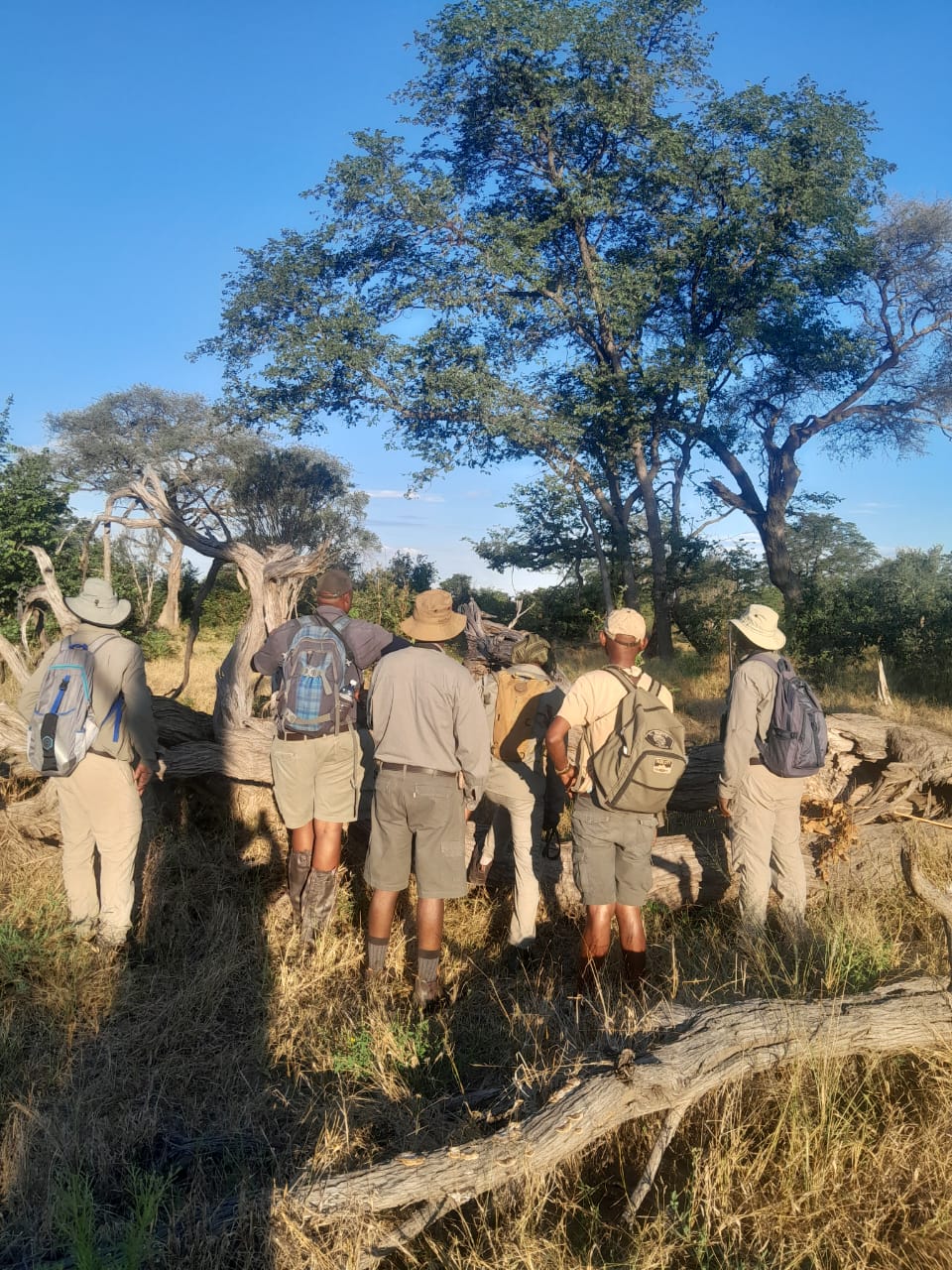 Mobile Safaris