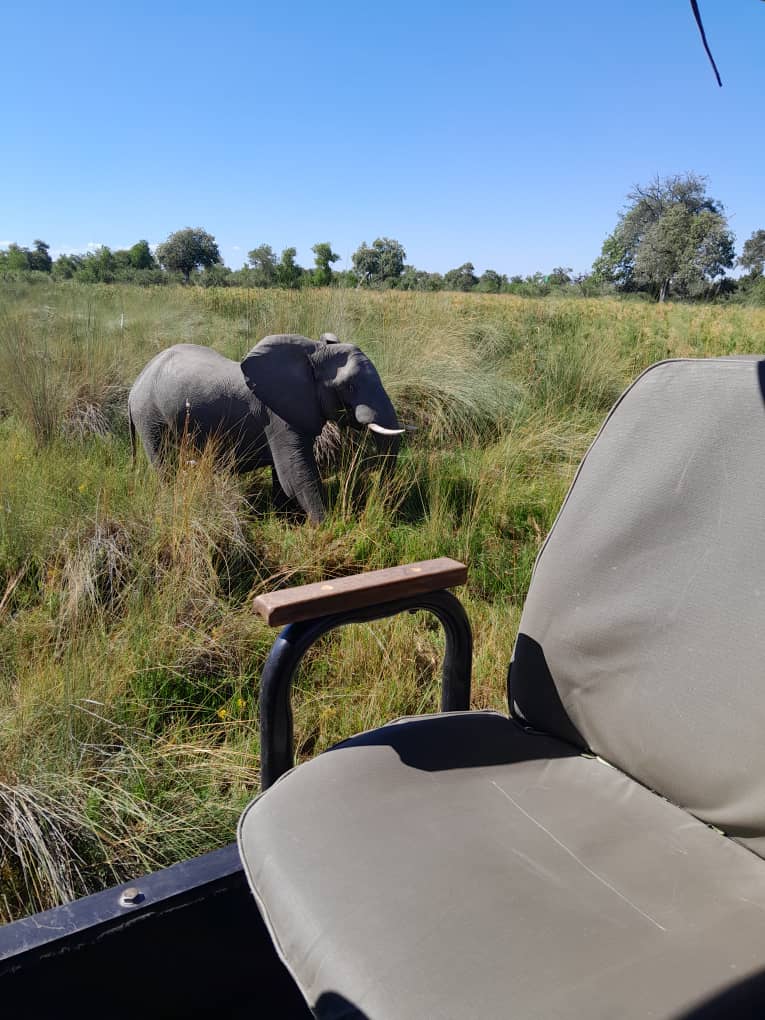 Central Kalahari Game Reserve