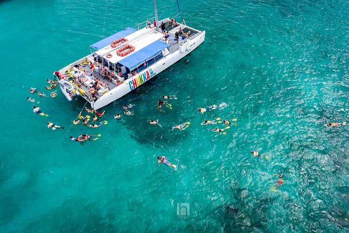 Ellis Tours and Transfers Jamaica