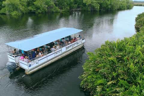 Ellis Tours and Transfers JA