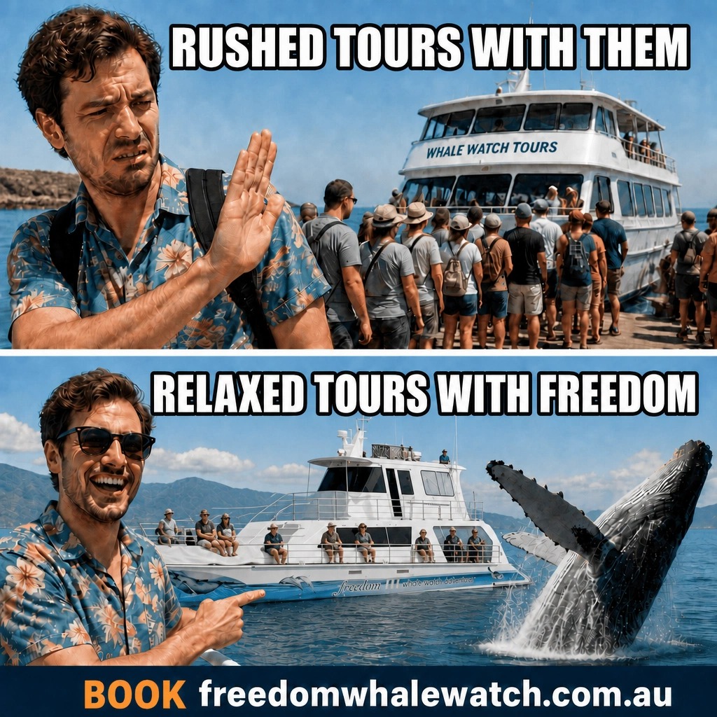 www.freedomwhalewatch.com.au