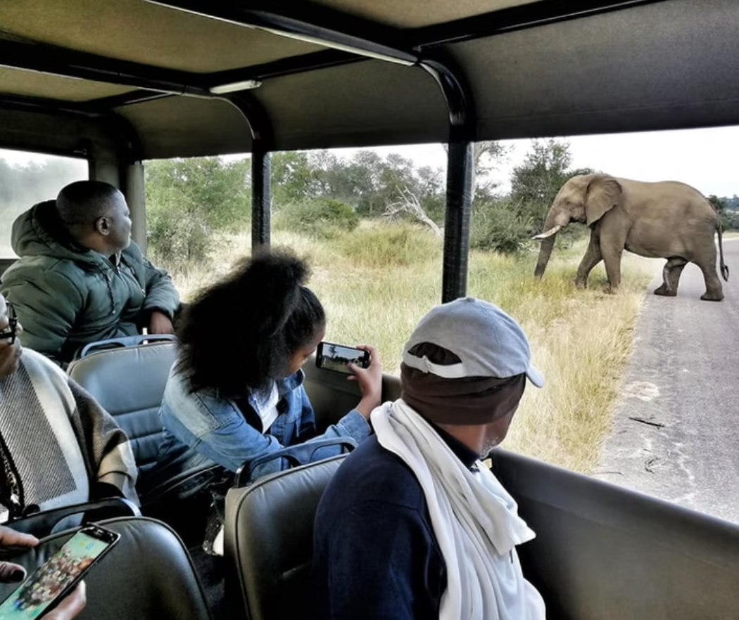 Private Kruger SAfaris