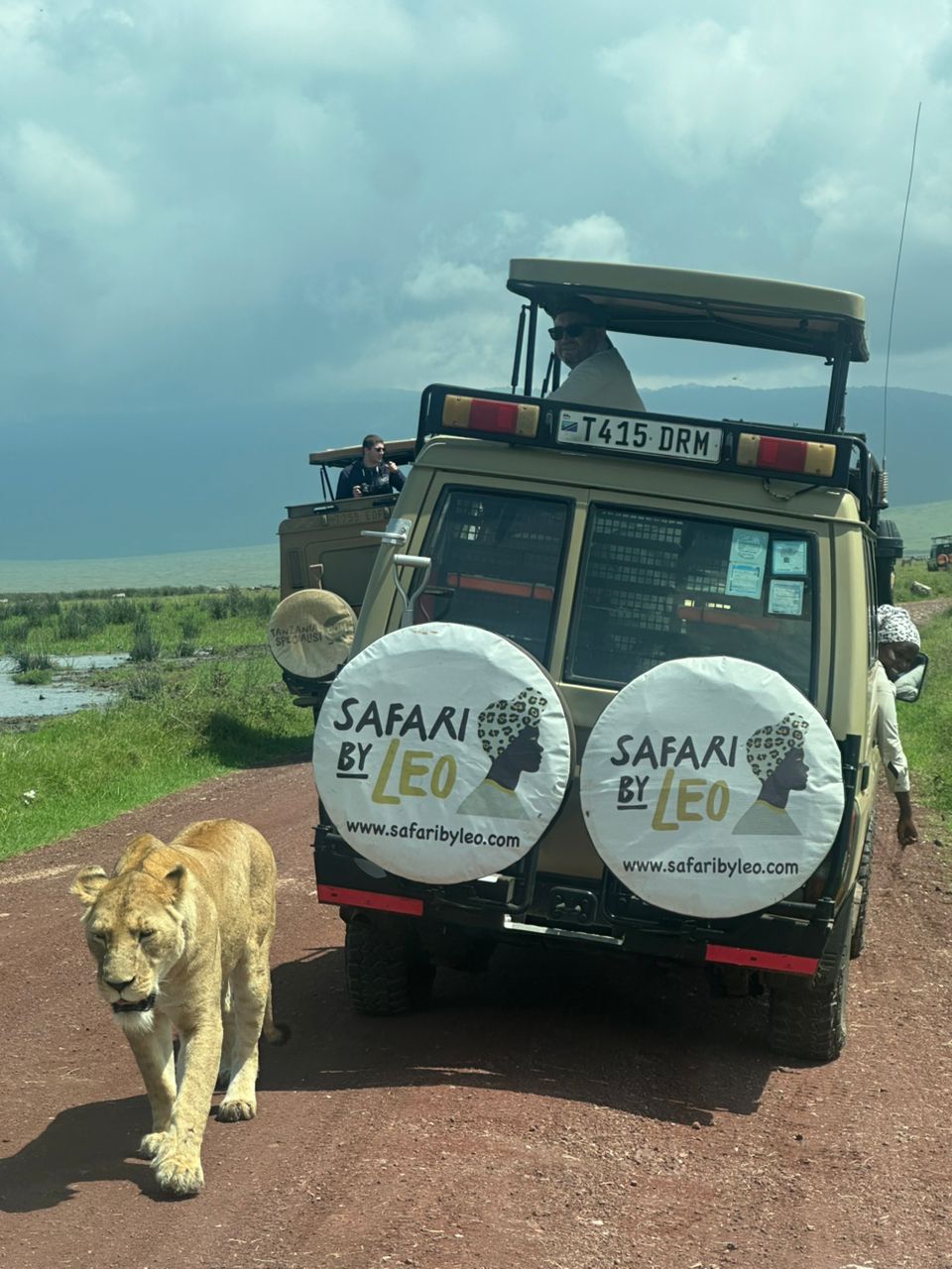 Safari By Leo