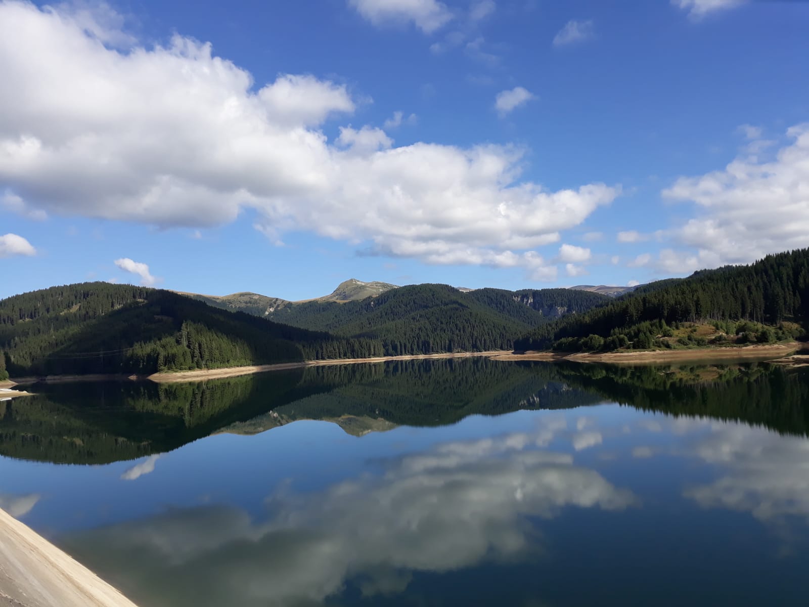 BearLand