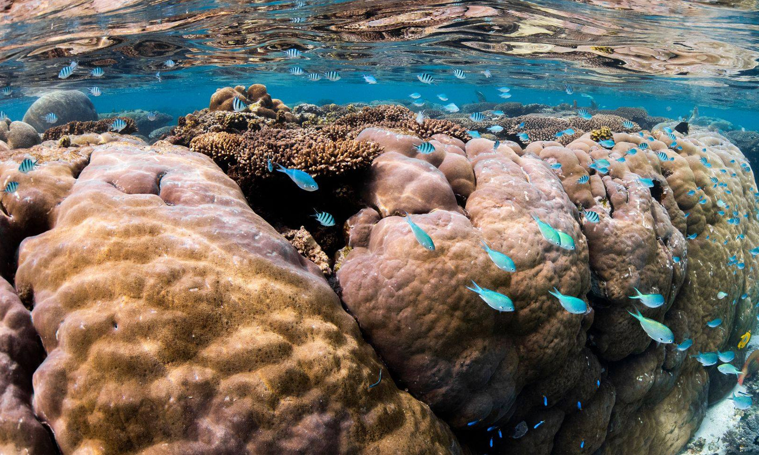 Coastal Adventure Tours