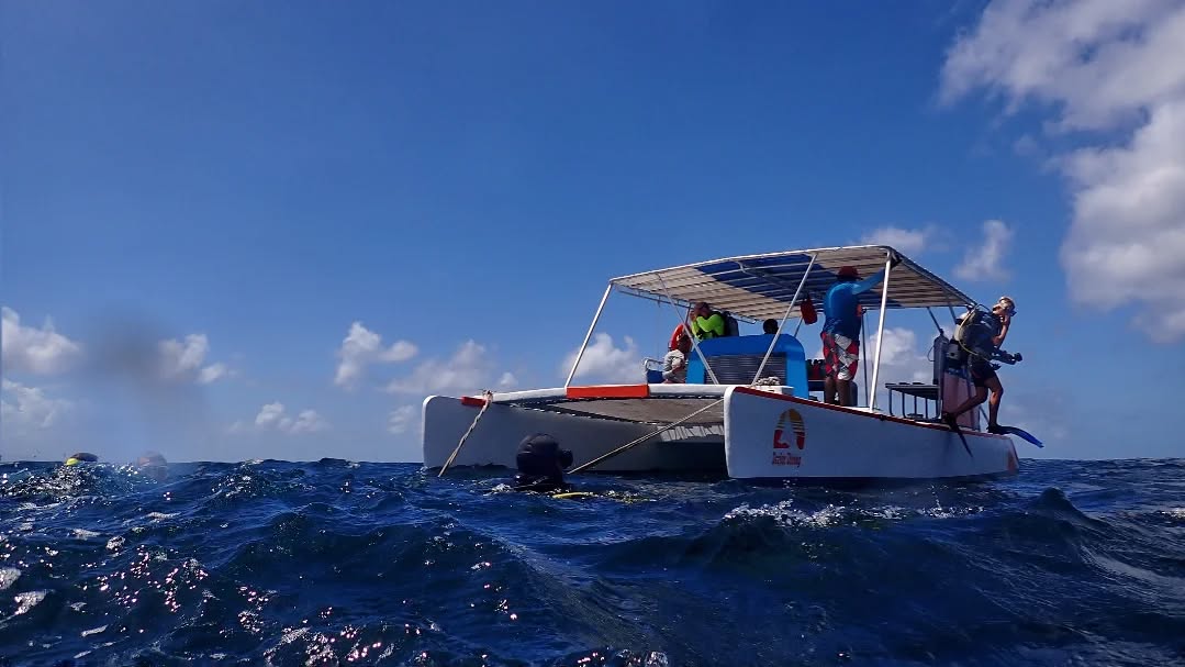Deefer Diving Carriacou