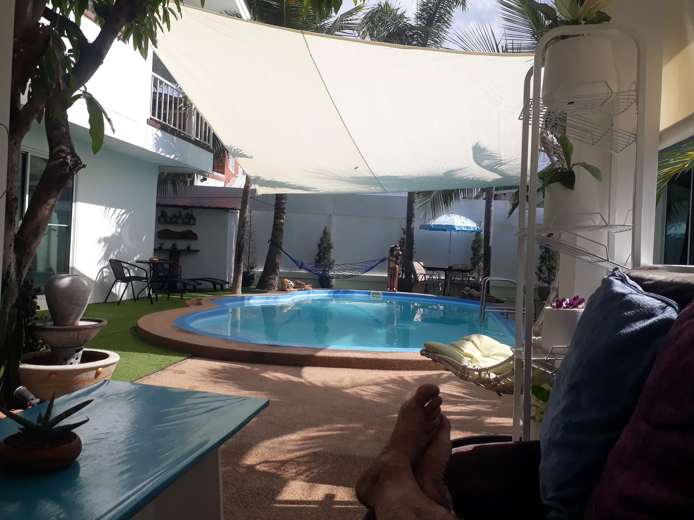 Coconut Palms