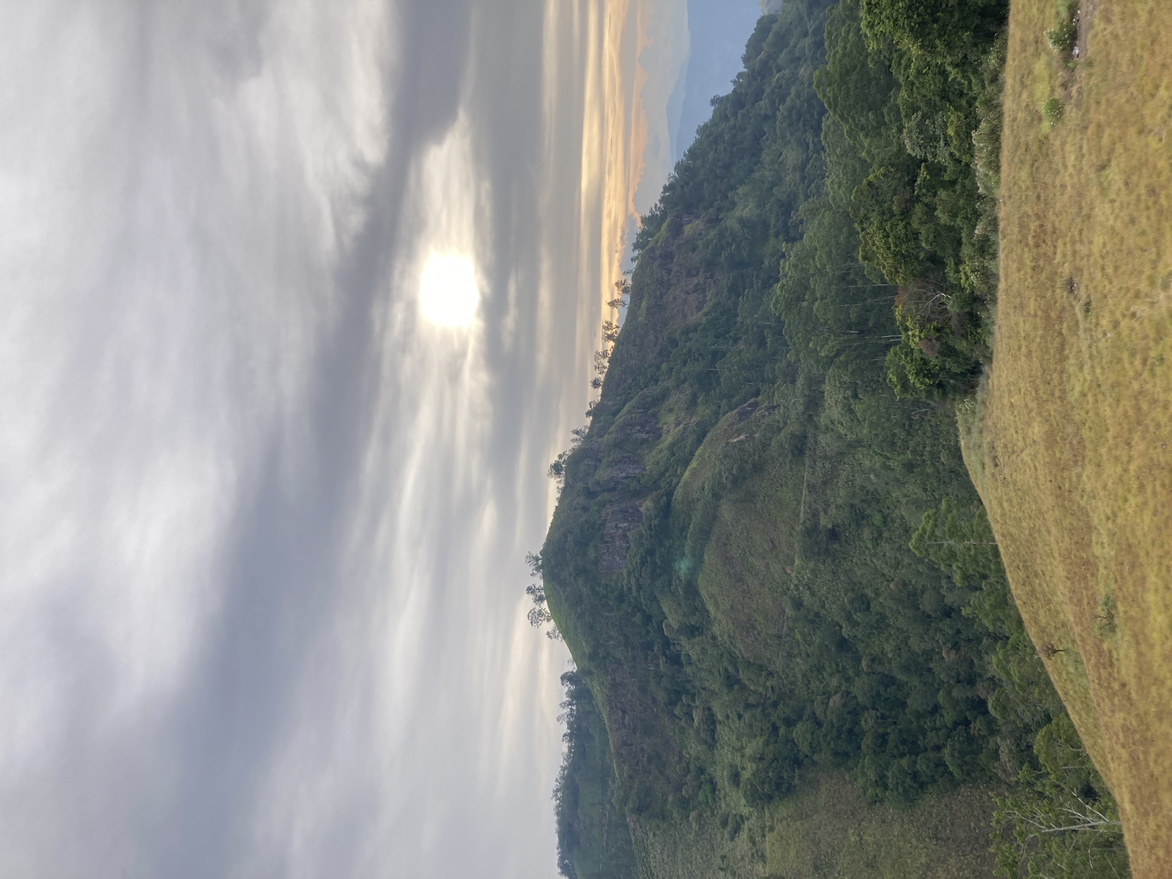 Robinson’s path with Narangala Mountainous Tourism