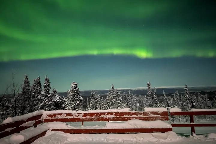 Alaska Wild Lights