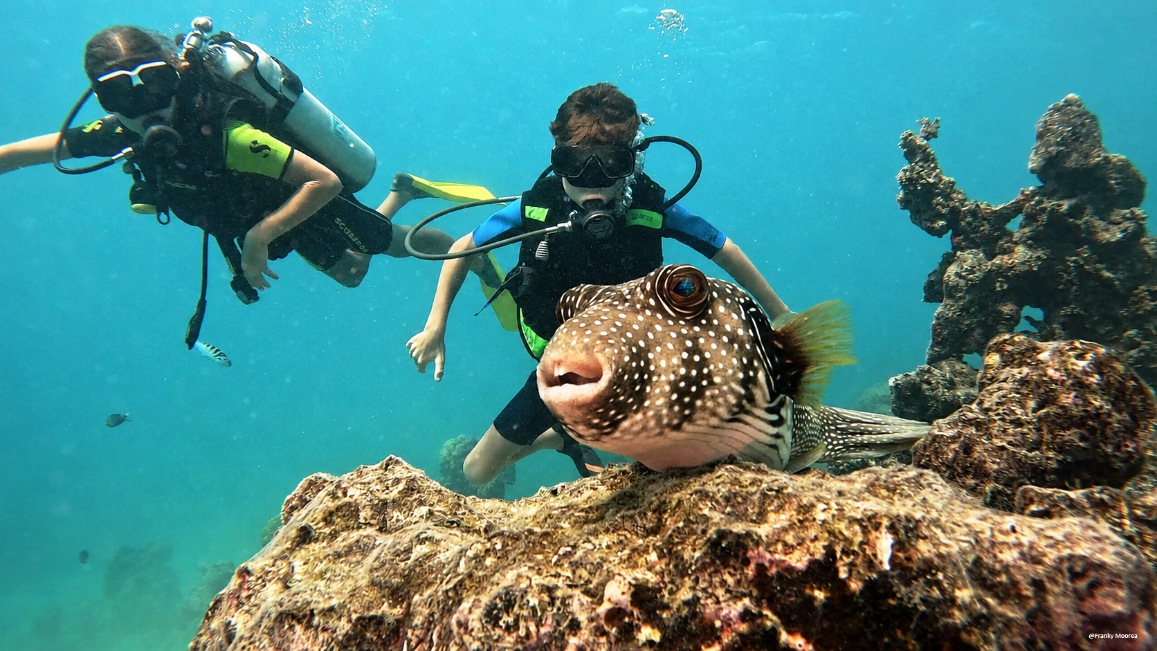 Nemo'z Diving Center Moorea