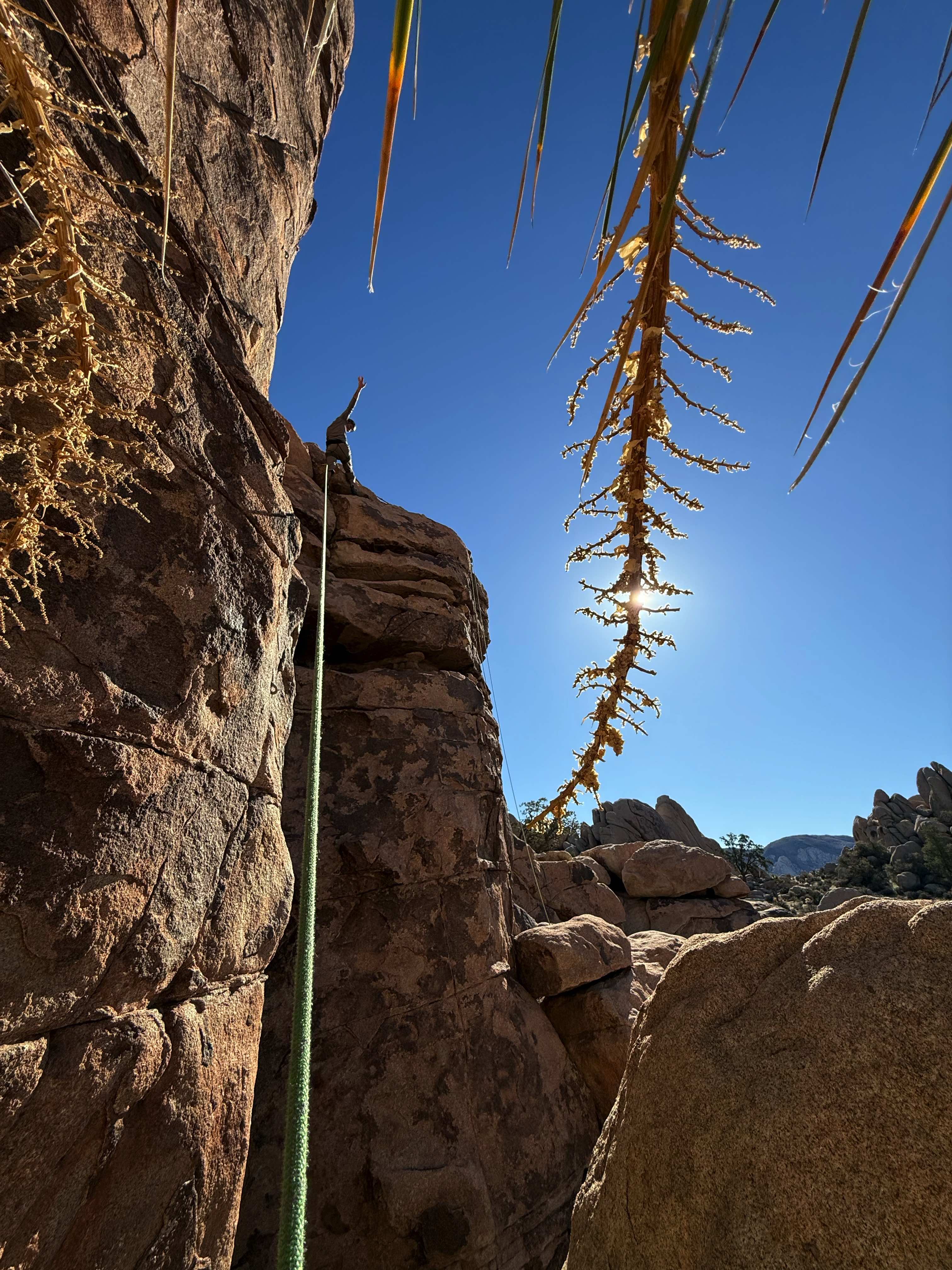 Summit Climbing Guides