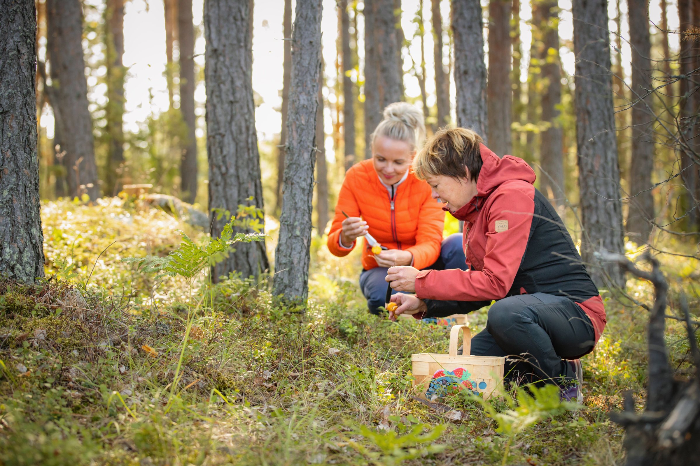 Best Lake Nature Adventures