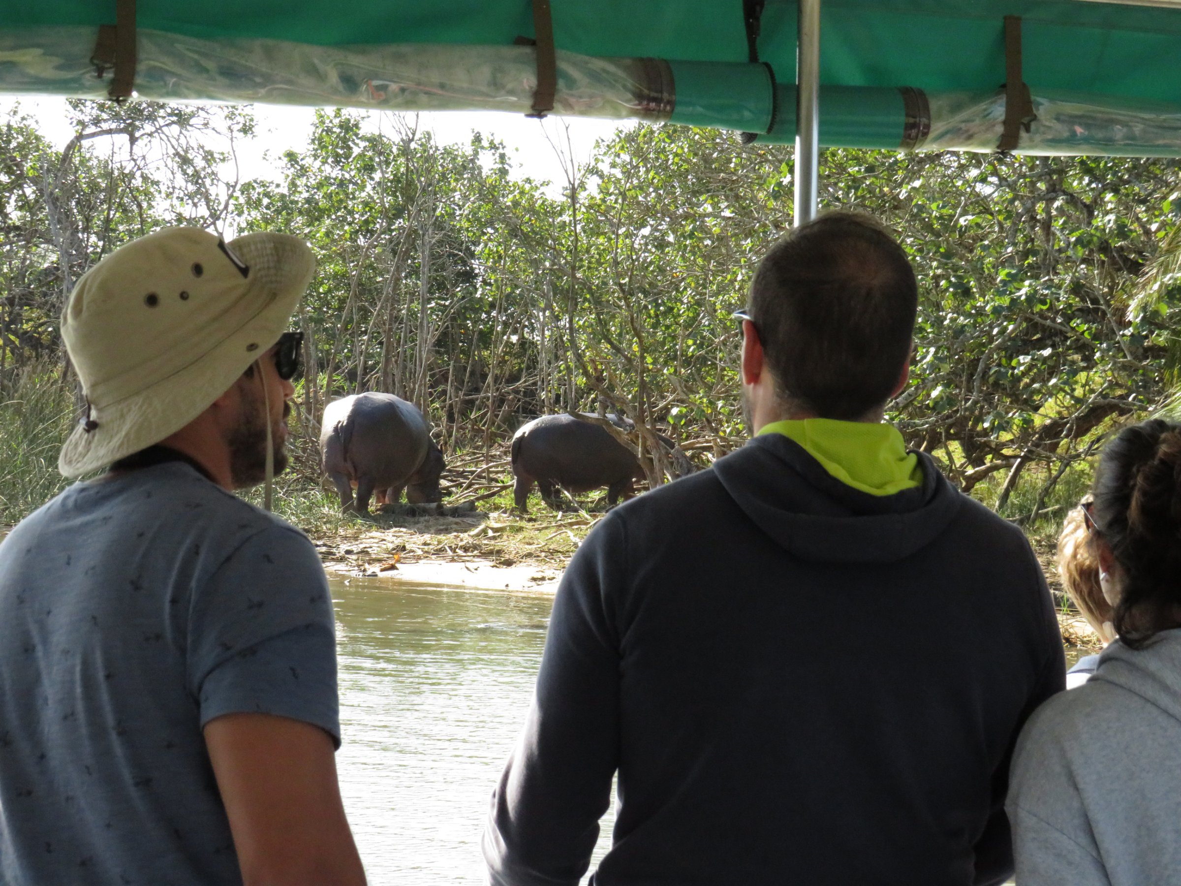 St Lucia Safaris / Fannas