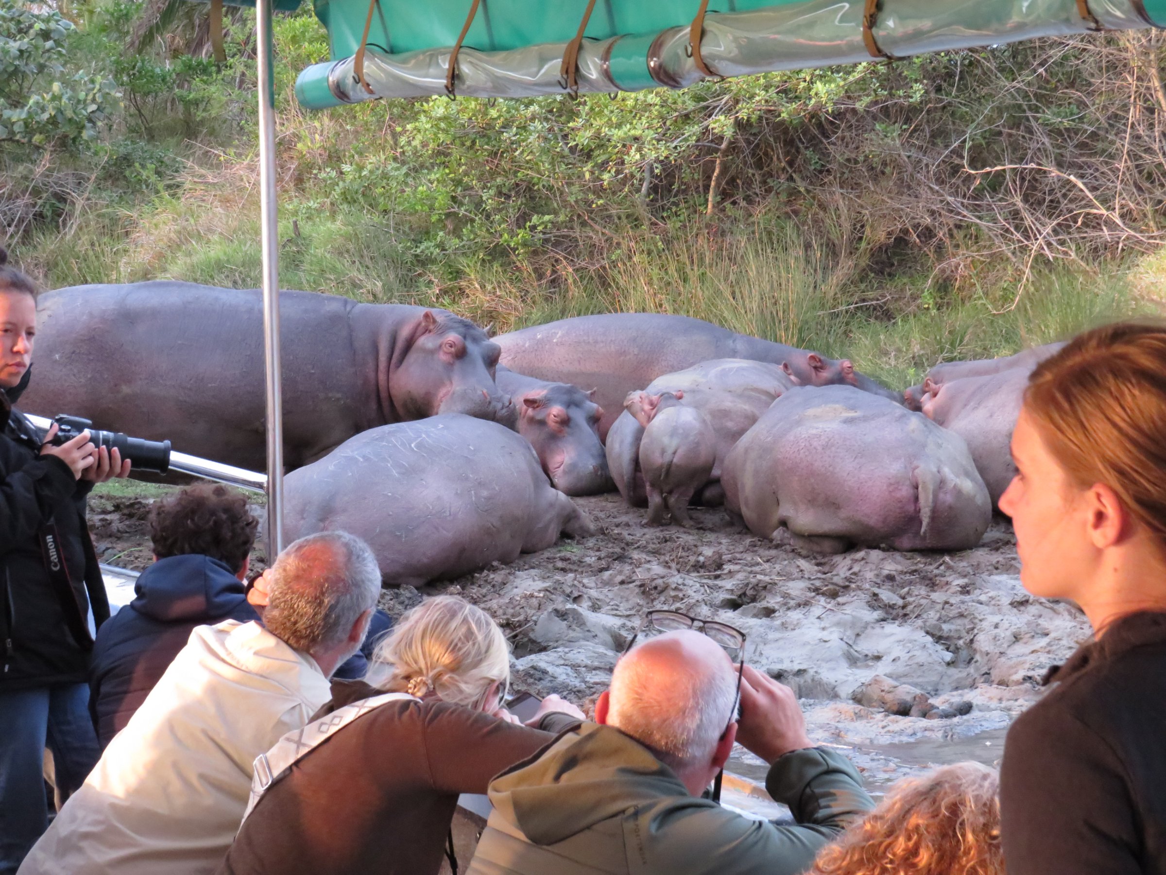 St Lucia Safaris / Fannas