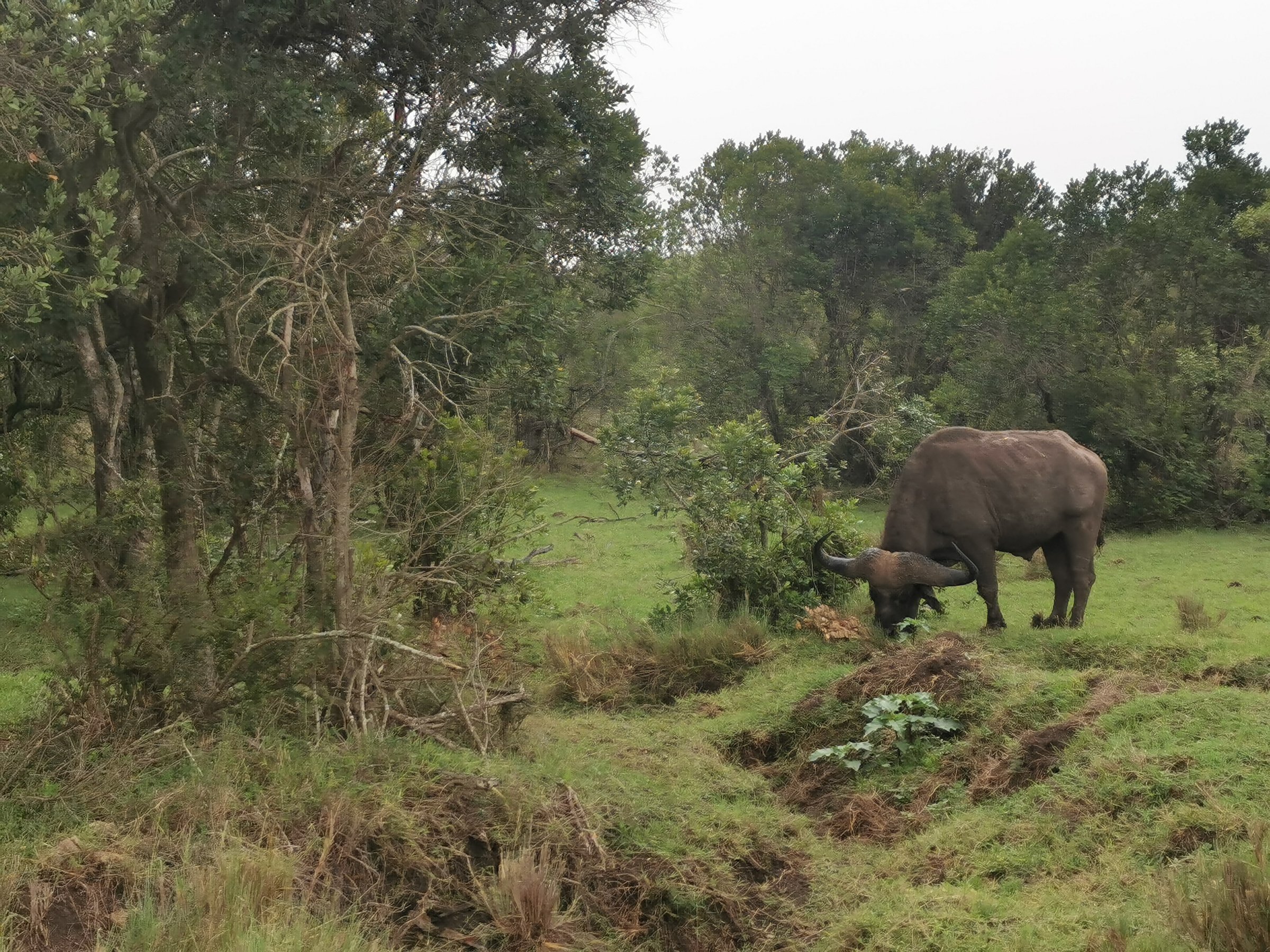 Zan Adventures & Safaris