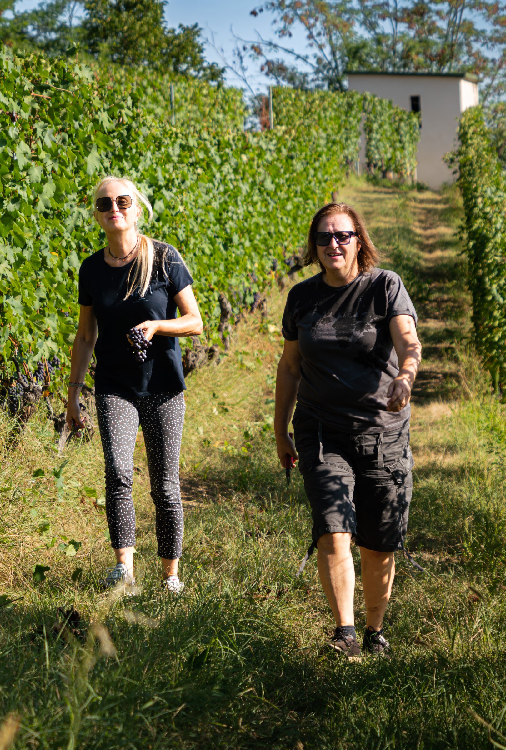 Virna Winery