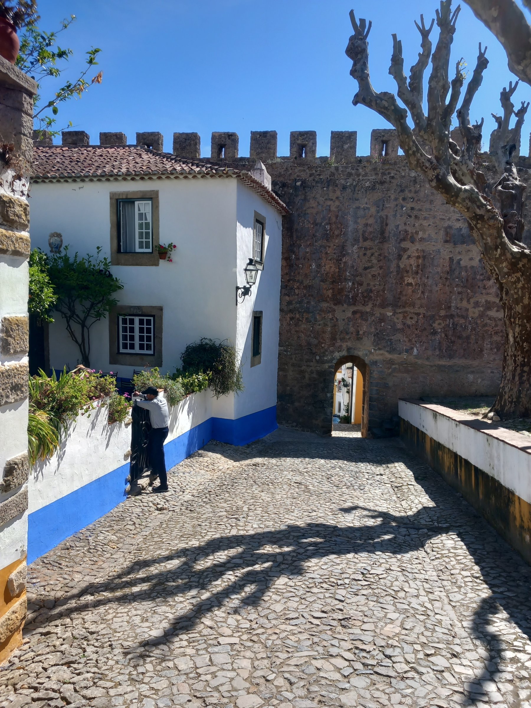 Nuno Sophiatours