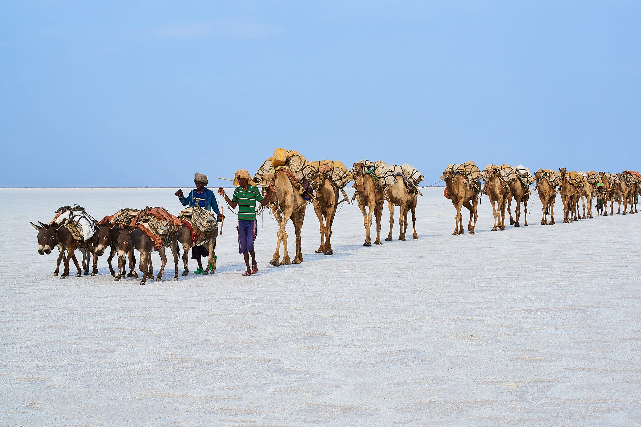AMICALE ETHIOPIA TOURS
