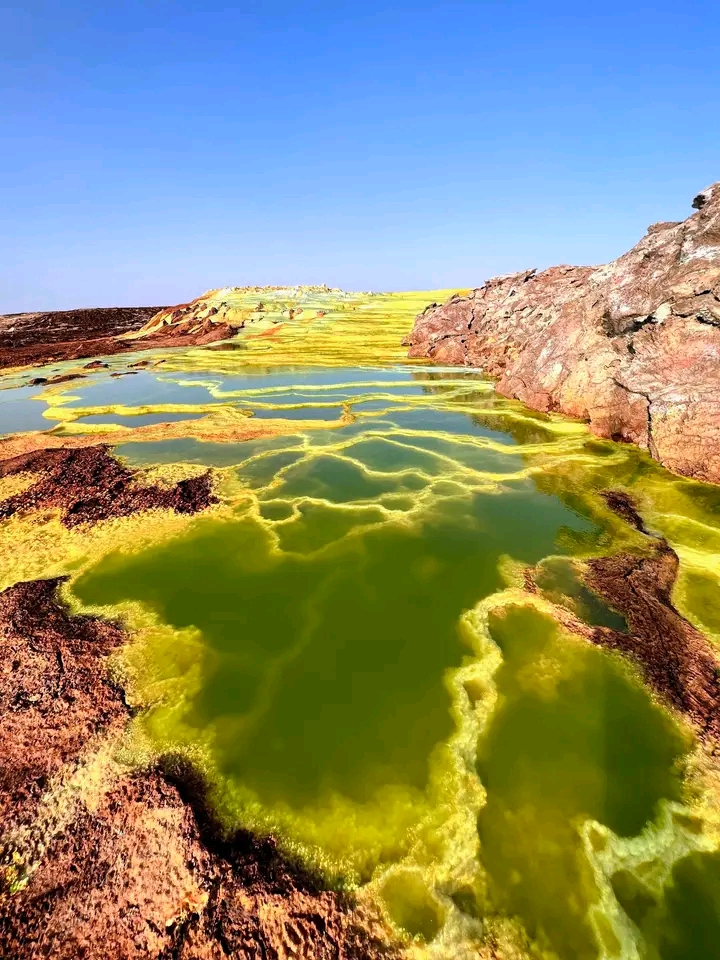 AMICALE ETHIOPIA TOURS