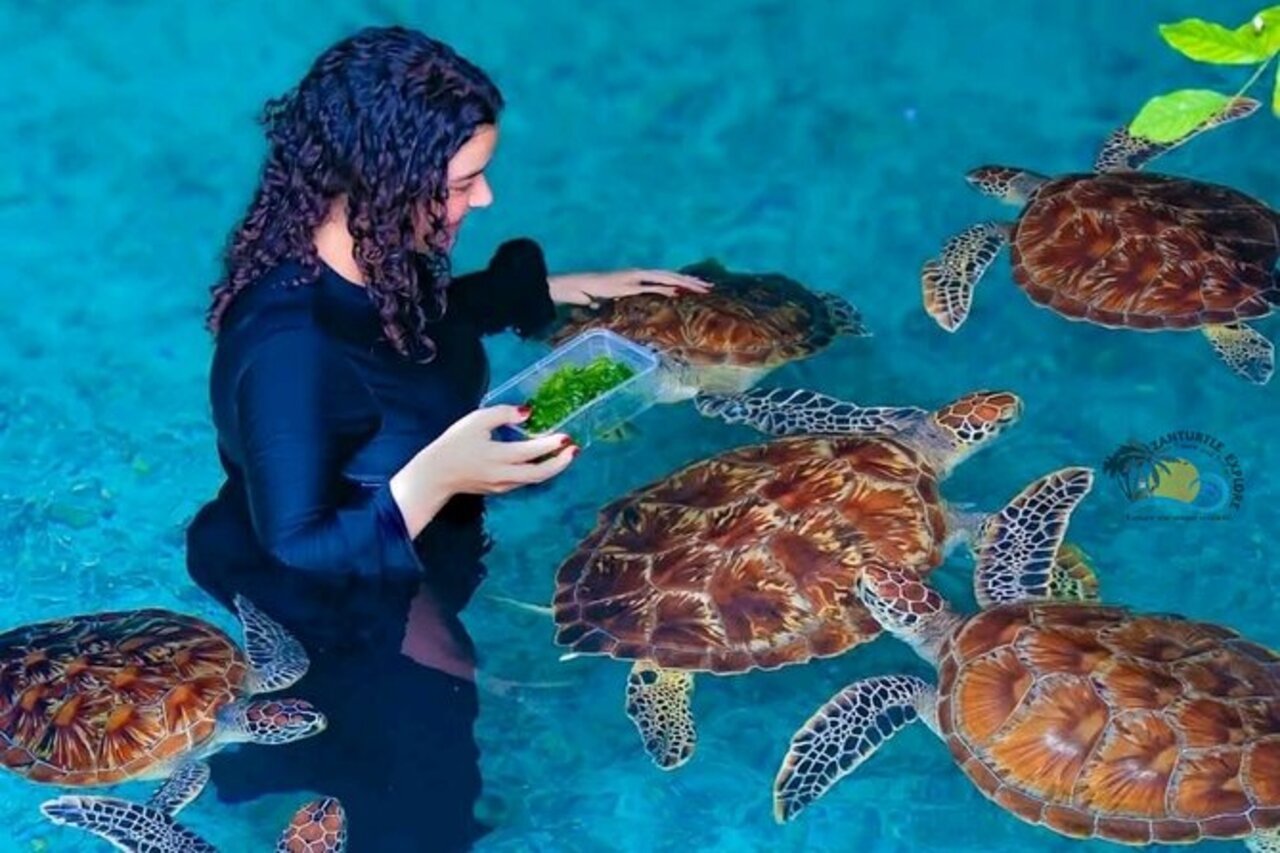 Maryam Tours Zanzibar