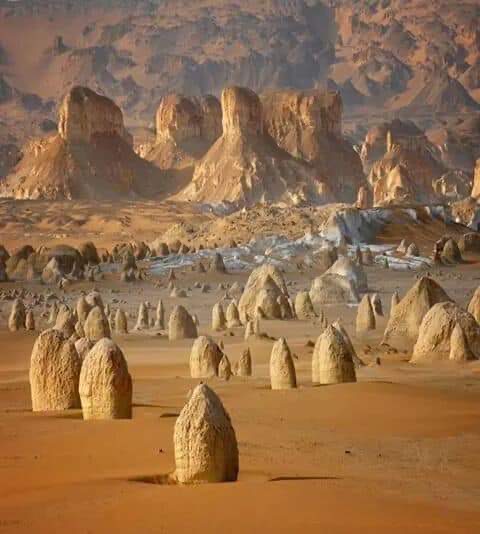 White desert base