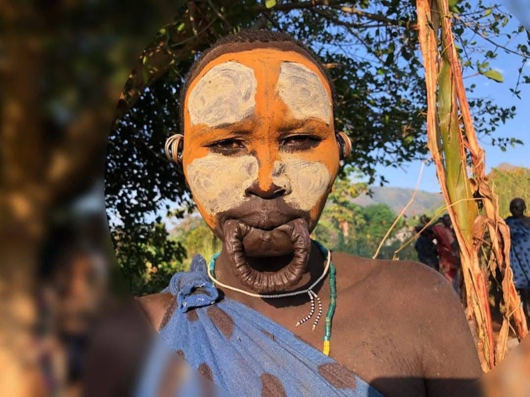Open Ethiopia Tours