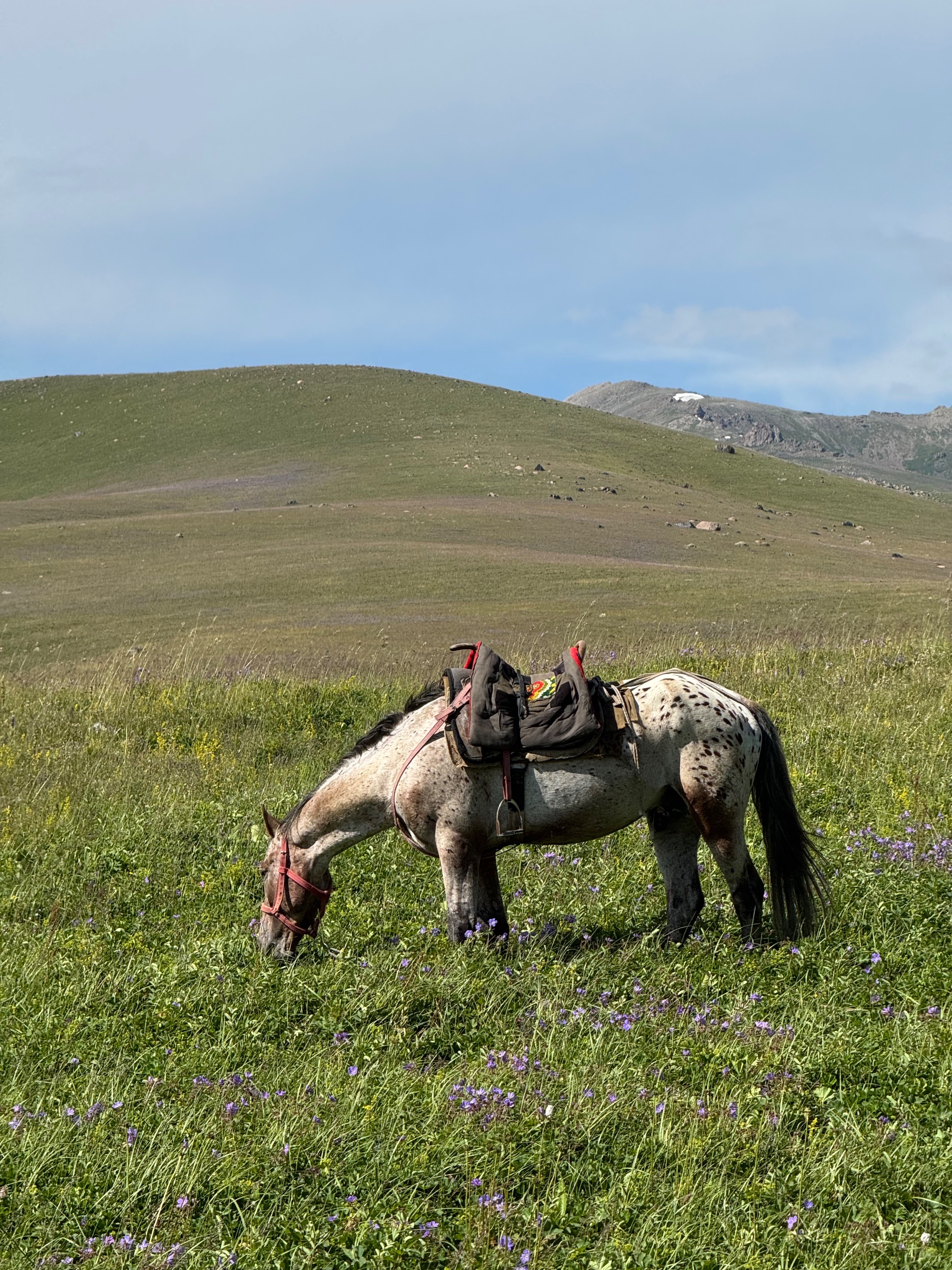 Kyrgyz Vista Travel