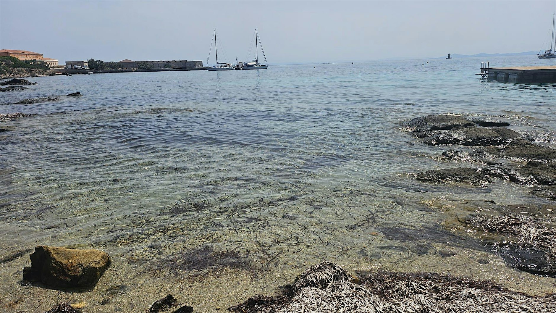 Worldrise SEATY AMP Asinara