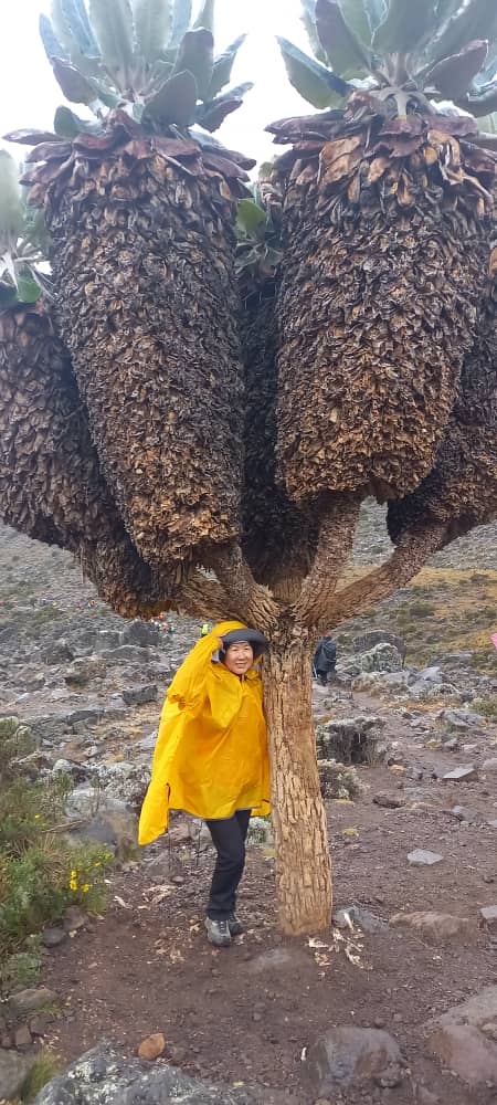 ROOT OF AFRICA KILIMANJARO EXPEDITION