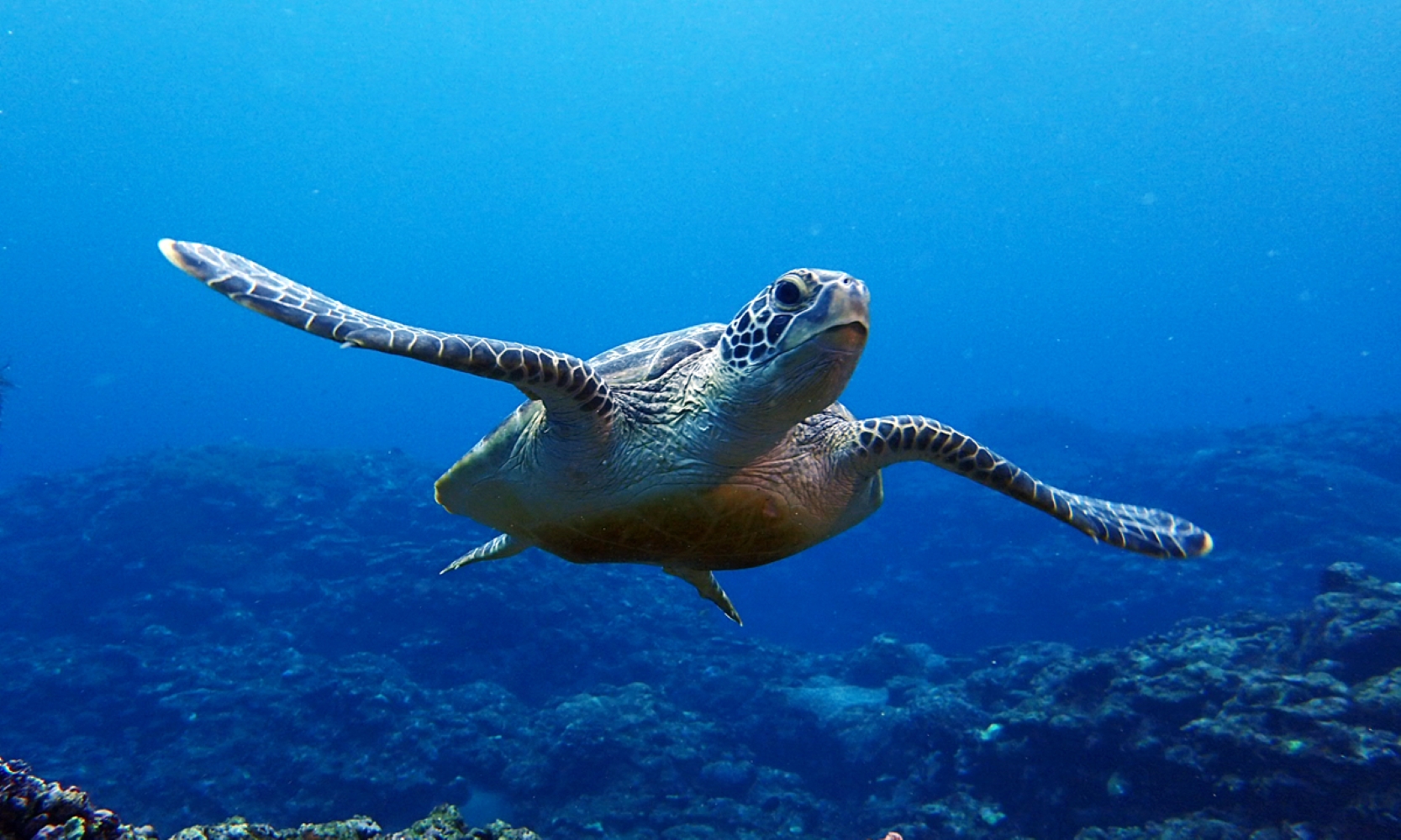Discover Ishigaki Tours