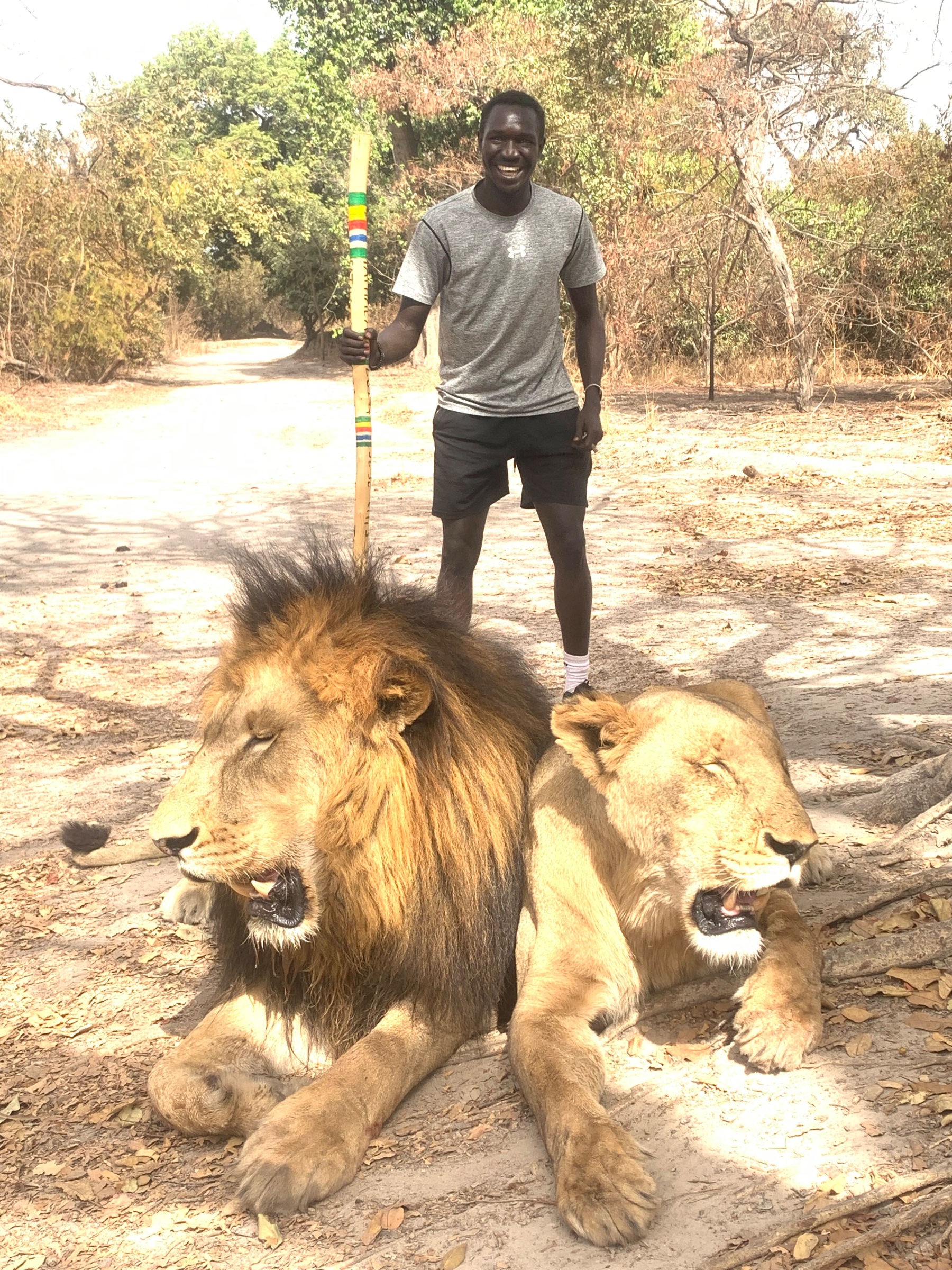Escape tour guide