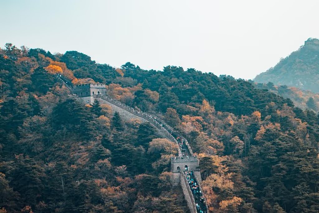 Shanghai Advisor Tour