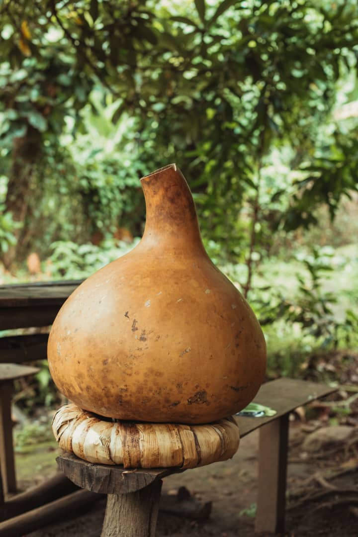 Musingika Tourism Company Limi