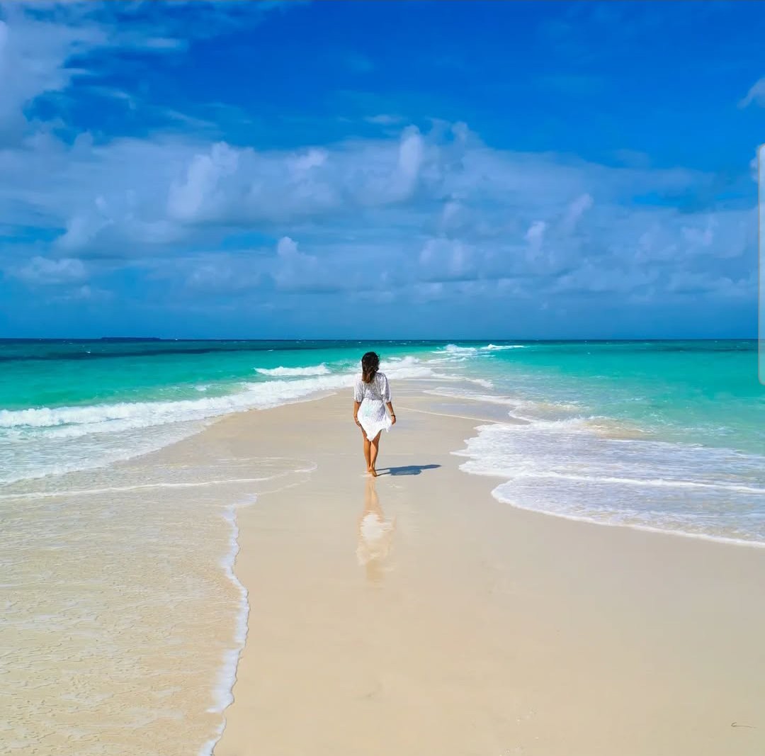 Seacode zanzibar tours&safaris