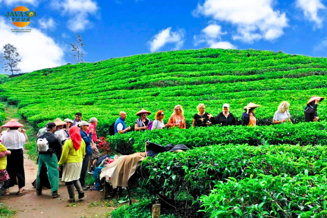 PT Javasol Tour Indonesia