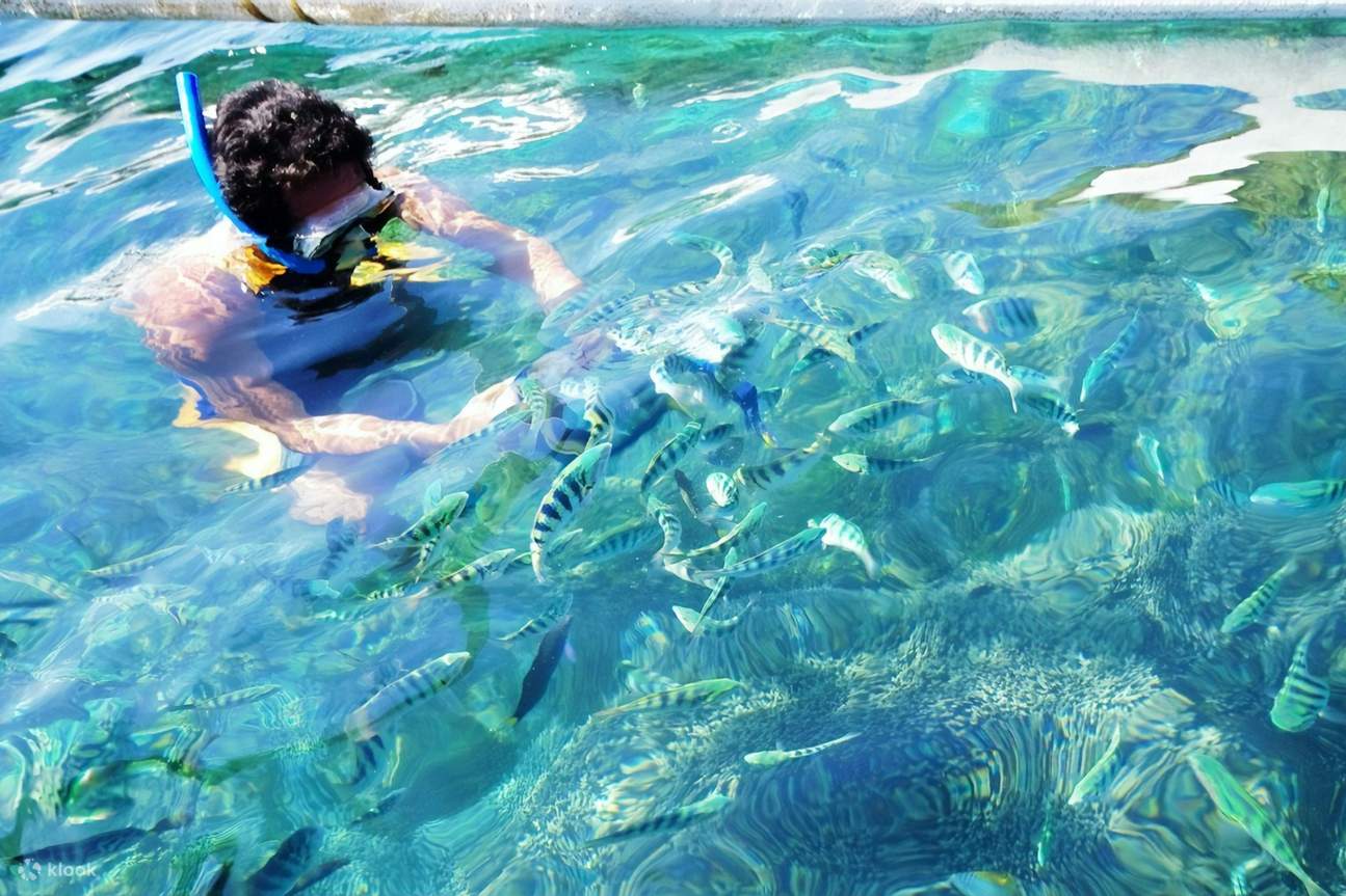 Bali full day tour TC