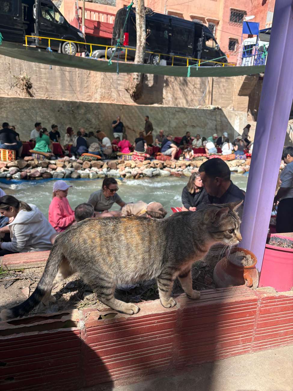 True Morocco Experience