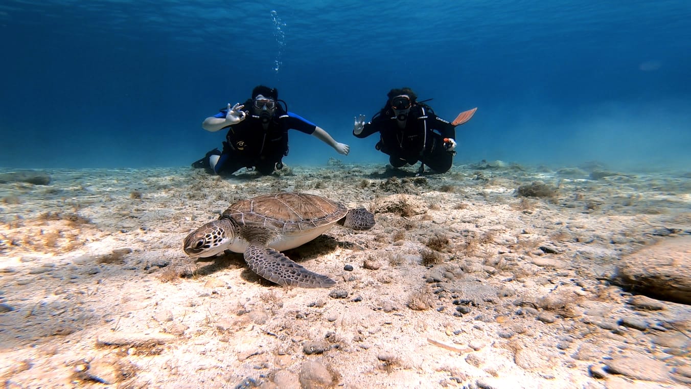 Diveteam Cyprus