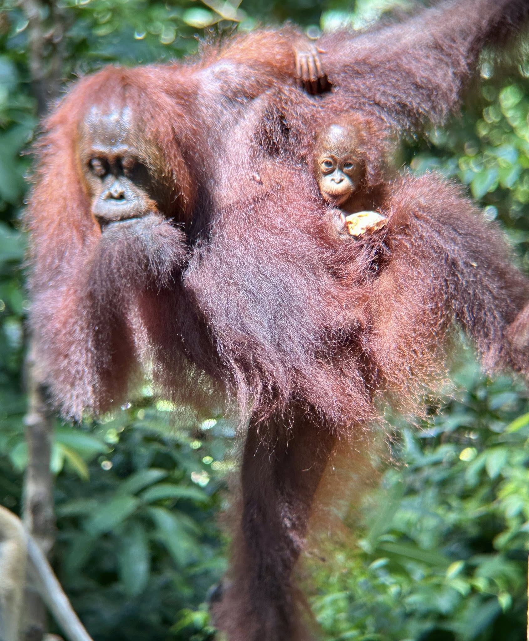 EXPLORE JAVA INDONESIA