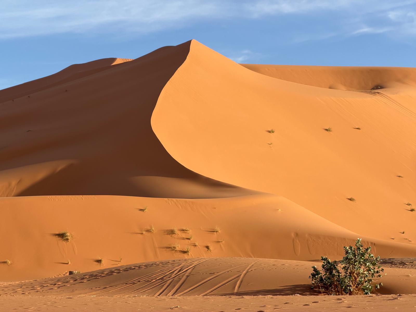 Noche en el desierto sahara