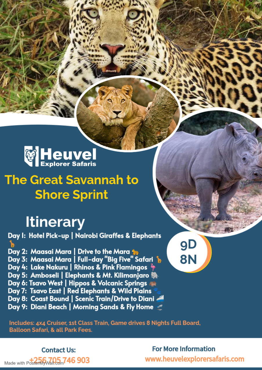 Heuvel Explorer Safaris