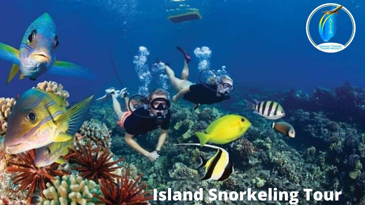 Adonay Travel Tours Agency