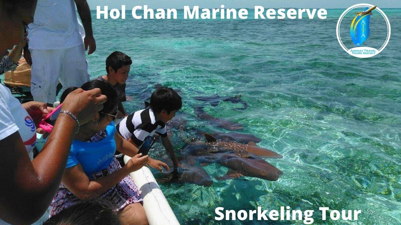 Adonay Travel Tours Agency