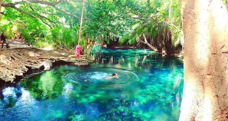 Safari Cabs Kilimanjaro