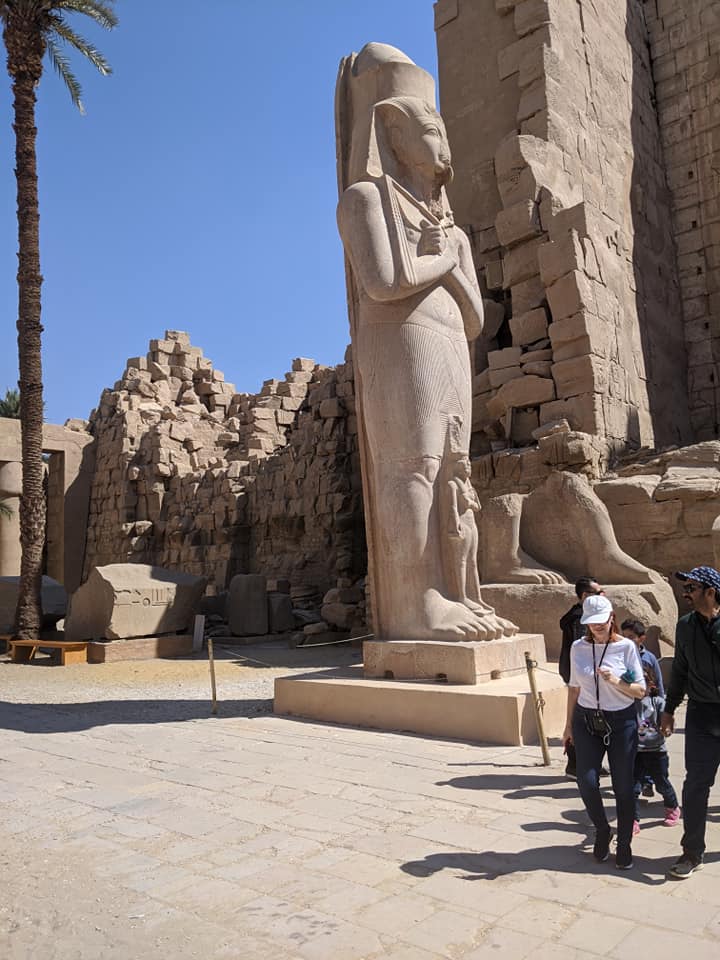 The Opulence of Egypt LLC